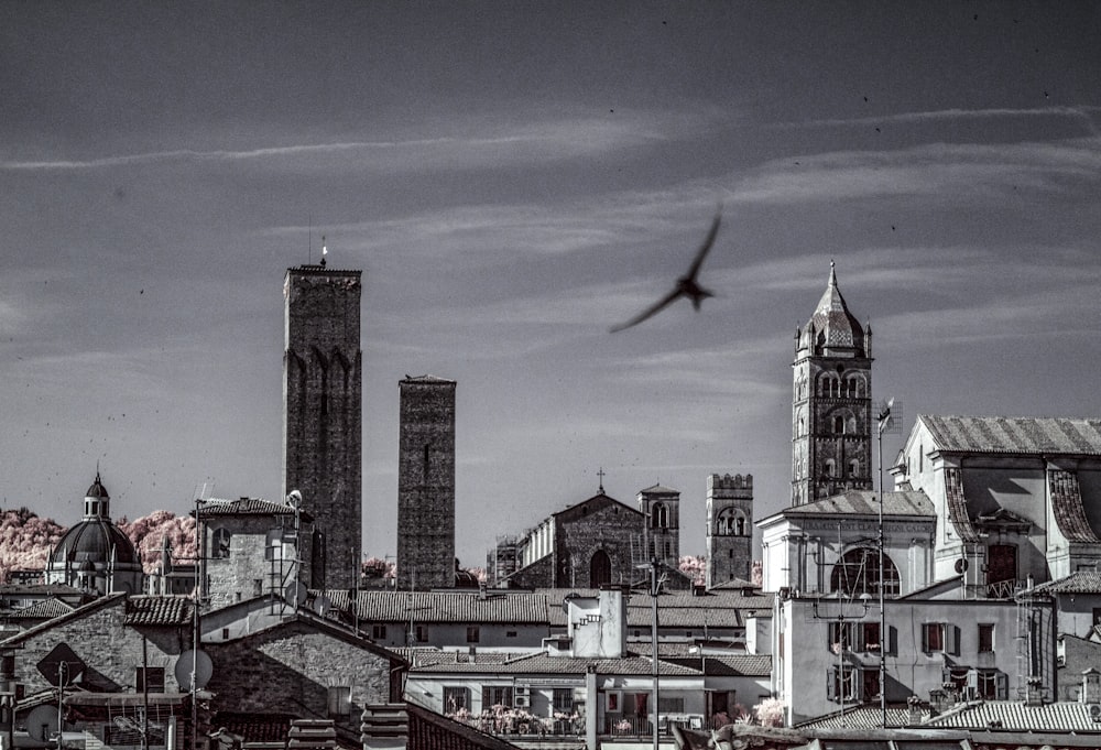 a black and white photo of a bird flying over a city