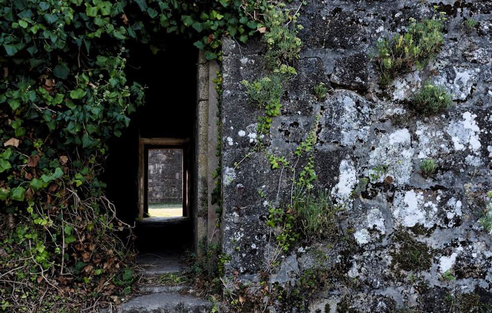 a doorway in a stone wall with vines growing around it