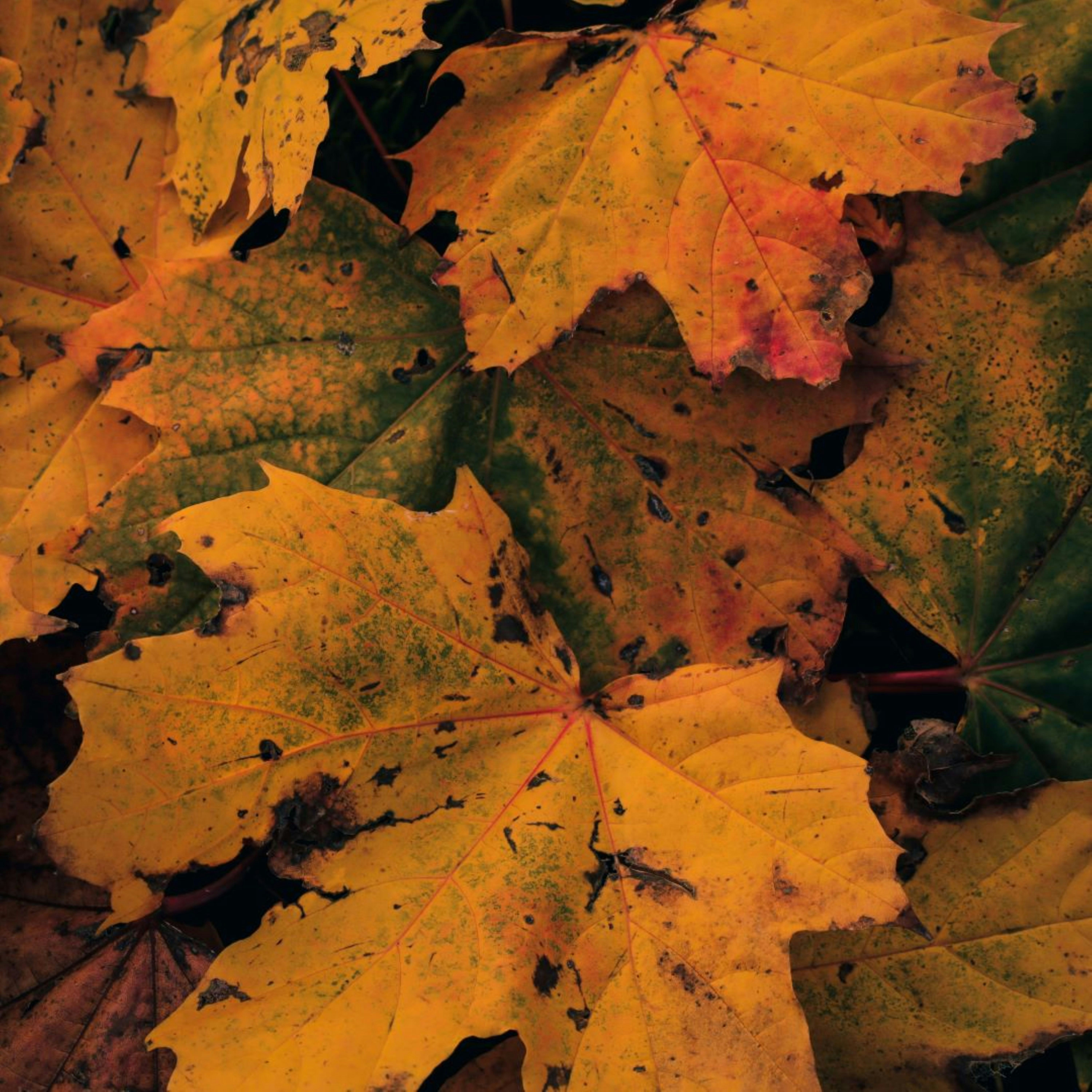 2026-02-28 - 當你跌倒谷底，總有一個契機讓你被接住，

不要放棄希望，持續準備好自己。