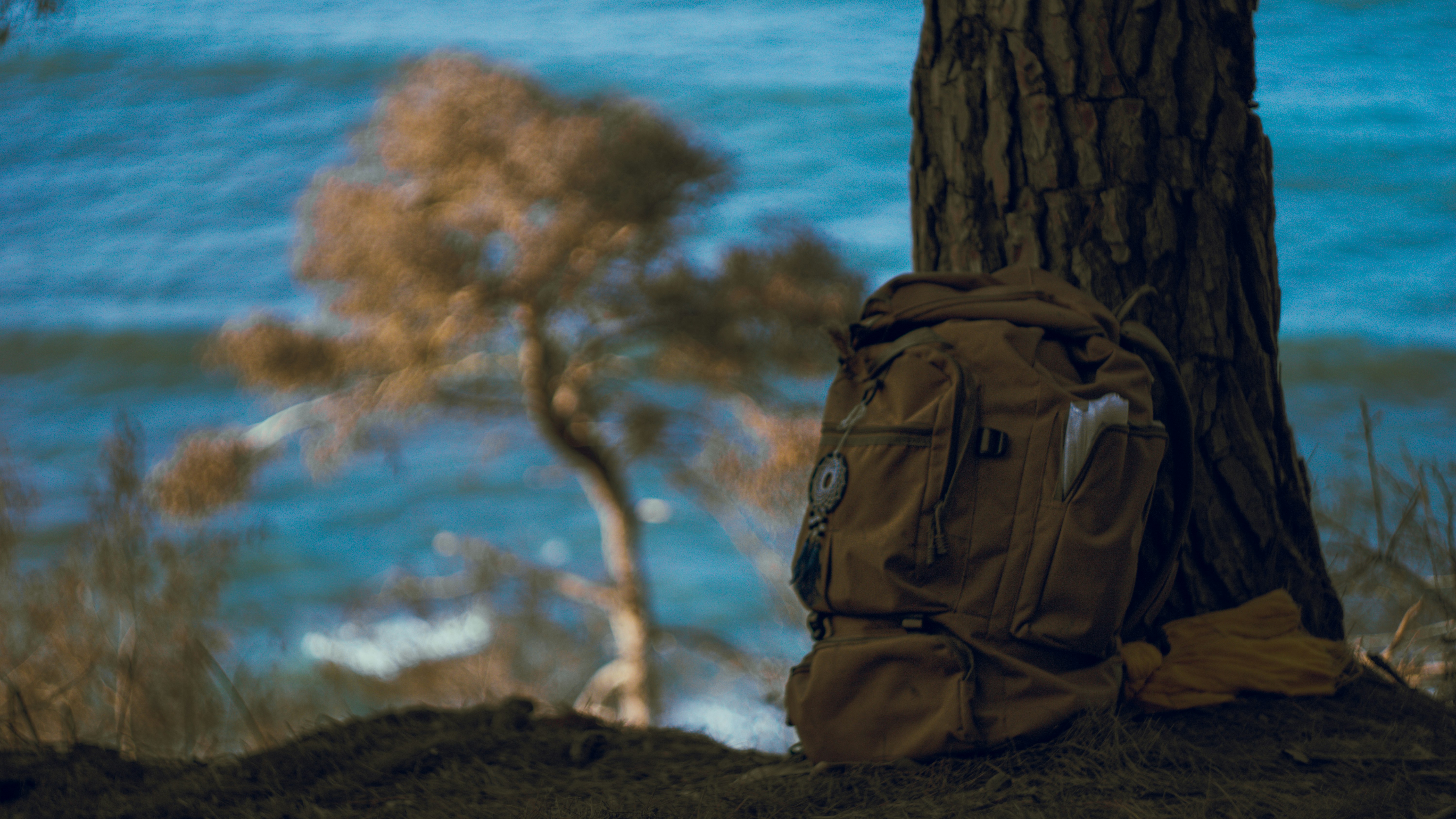 a backpack sitting on the ground next to a tree