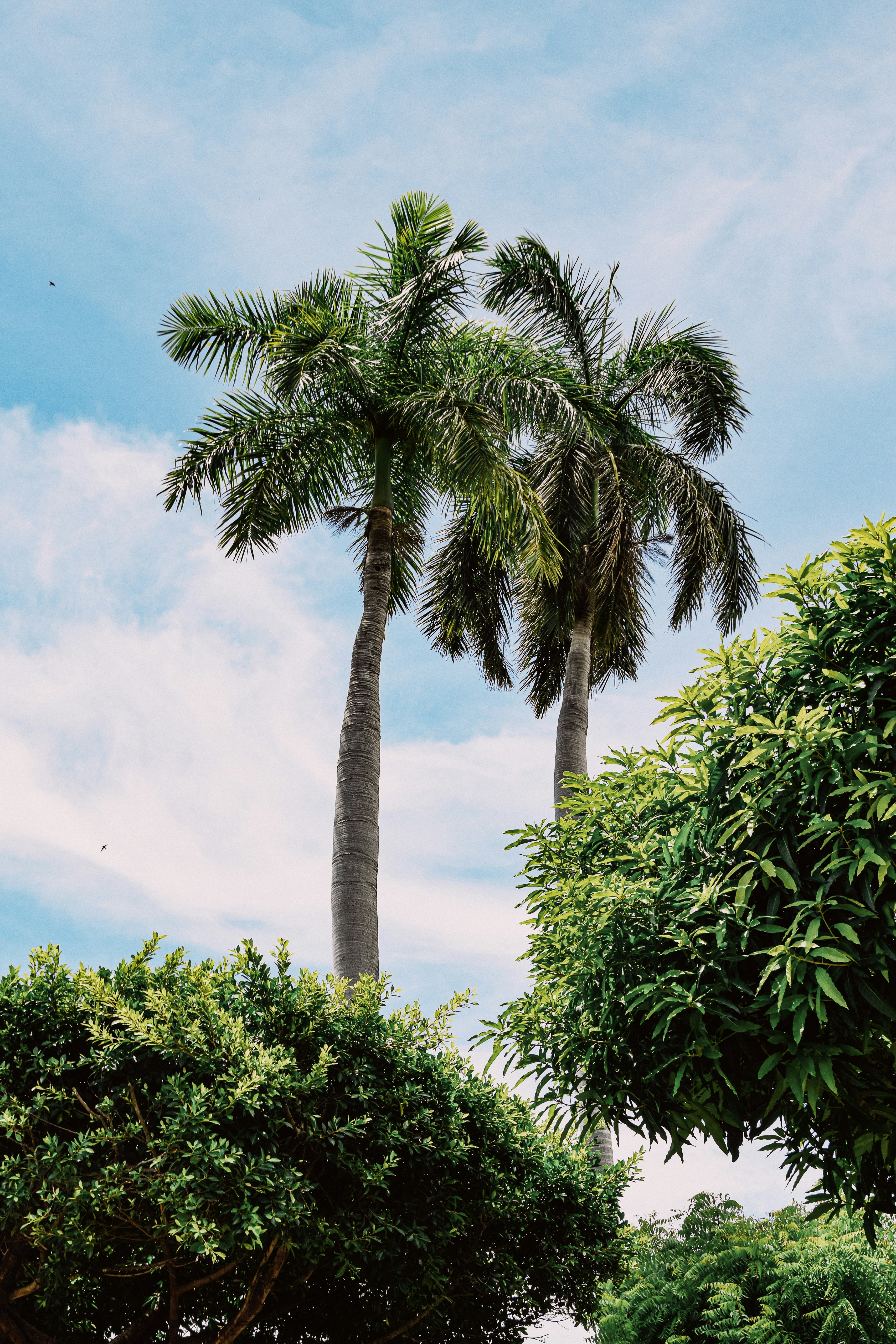 Photo by framesforyourheart