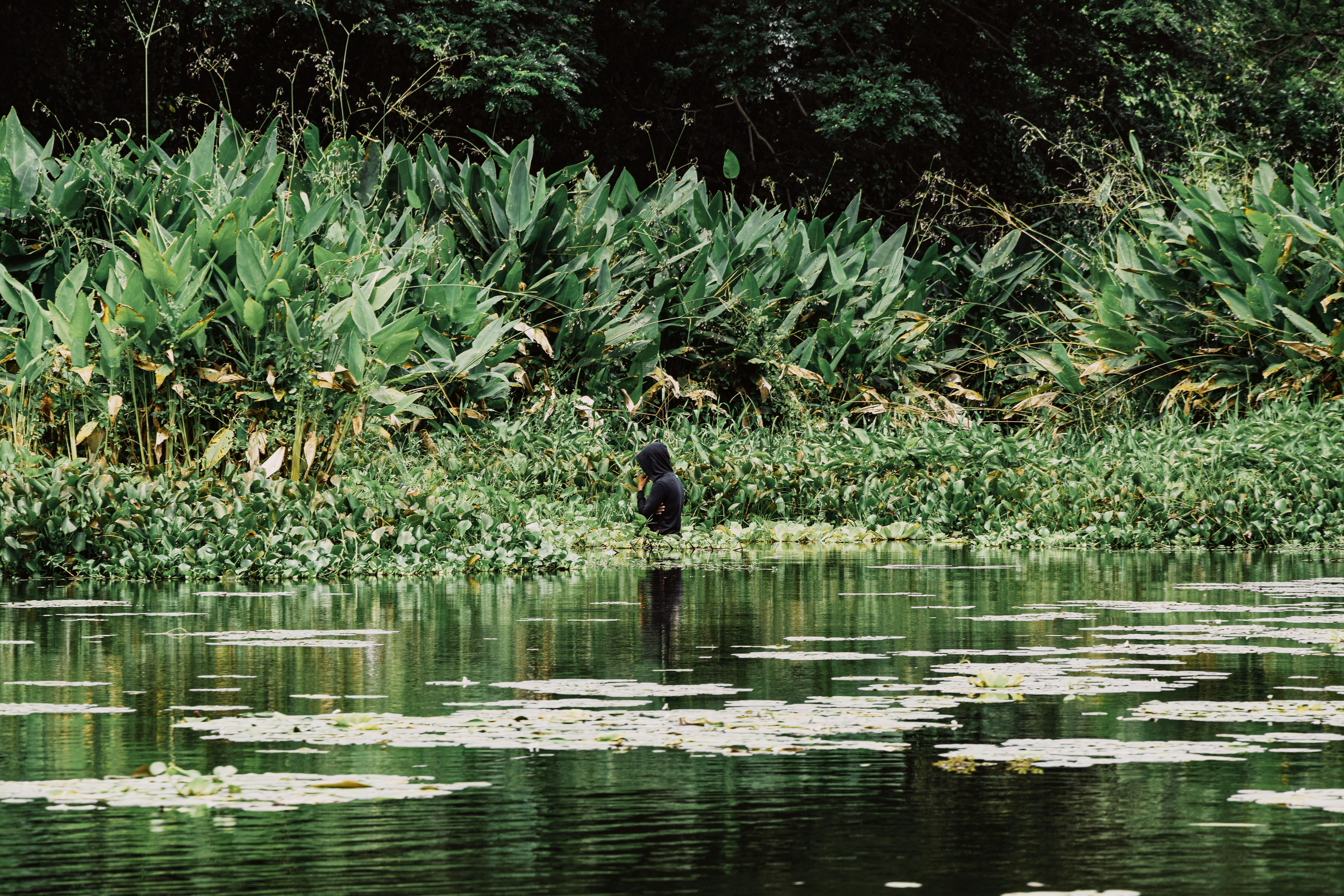 Photo by framesforyourheart