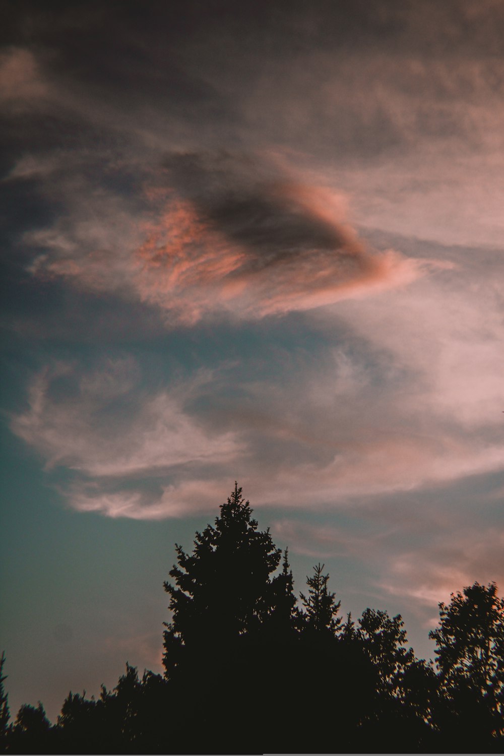 Un uccello che vola attraverso un cielo nuvoloso con alberi in primo piano