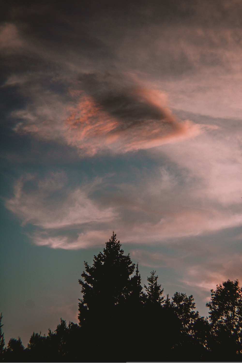 a bird flying through a cloudy sky with trees in the foreground