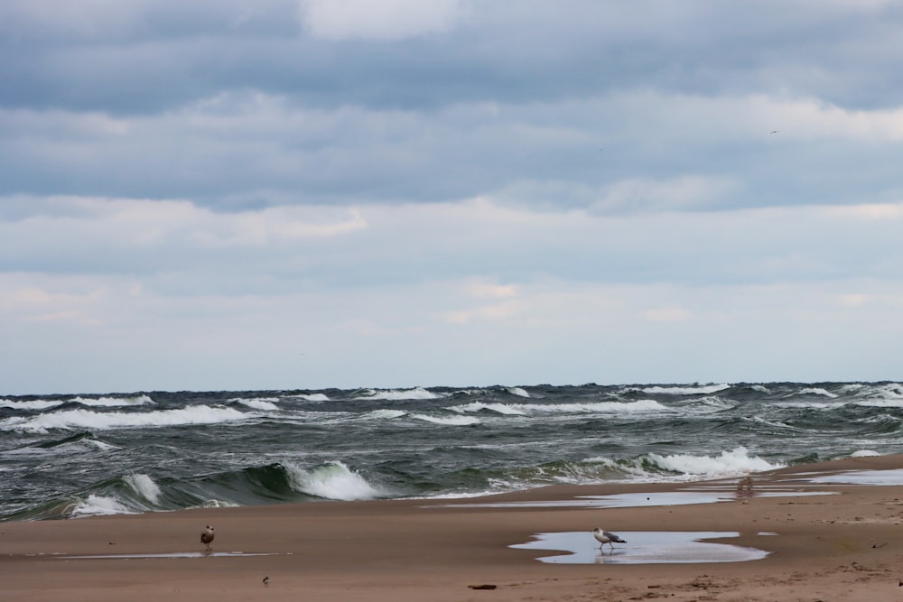 a person standing on a beach next to the ocean