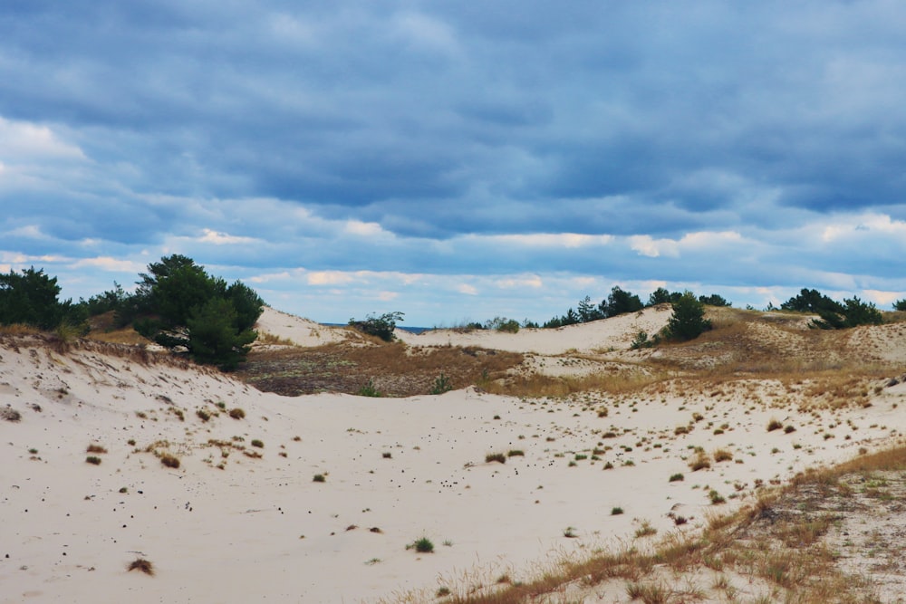 a sandy path in the middle of a field