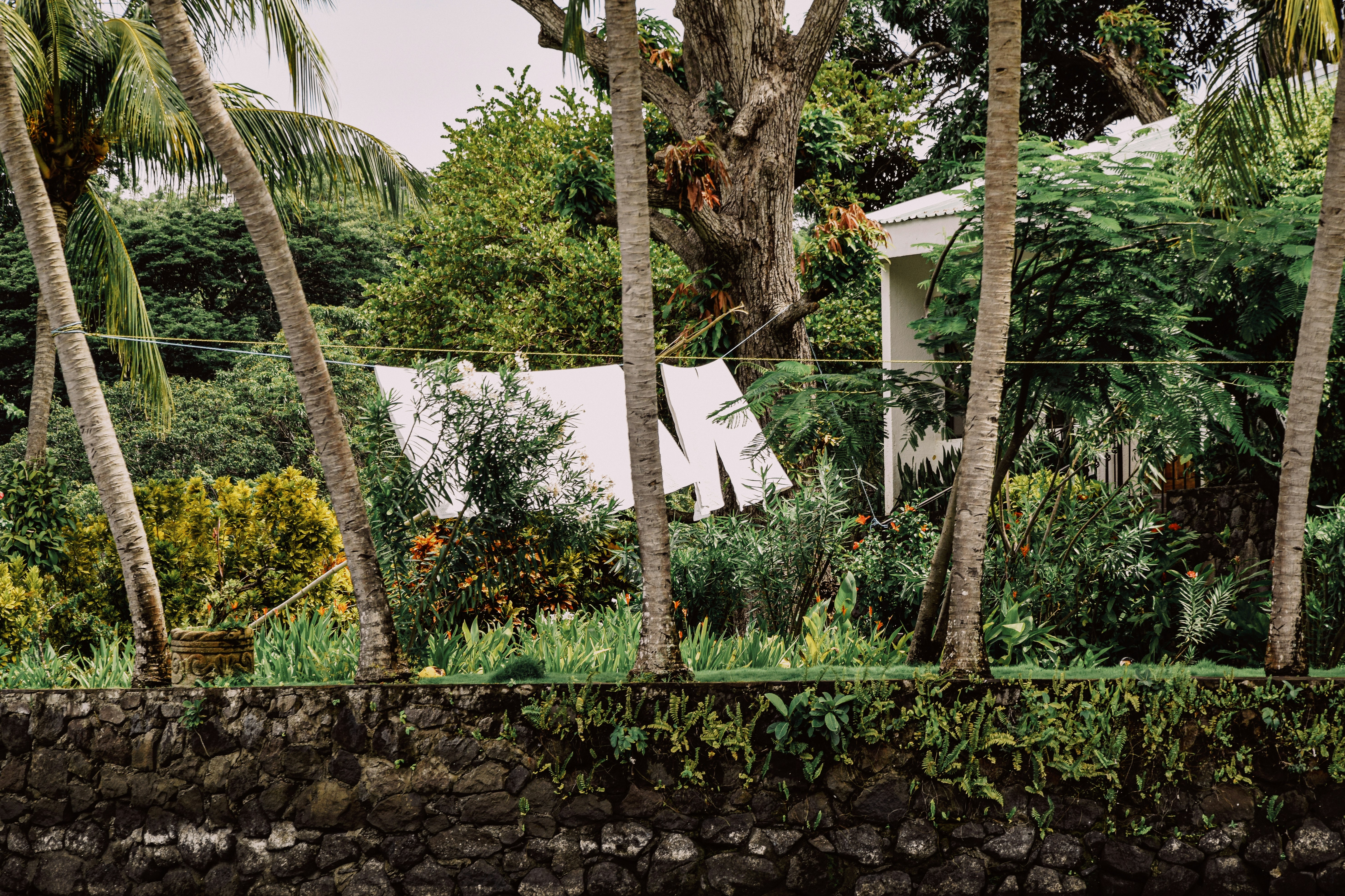 Photo by framesforyourheart