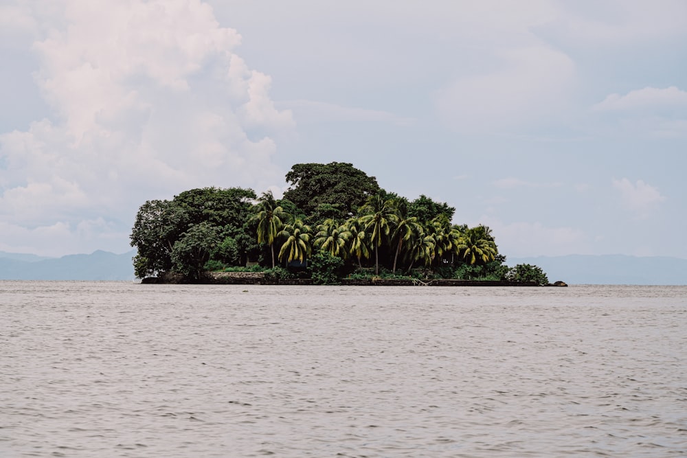 a small island in the middle of a body of water