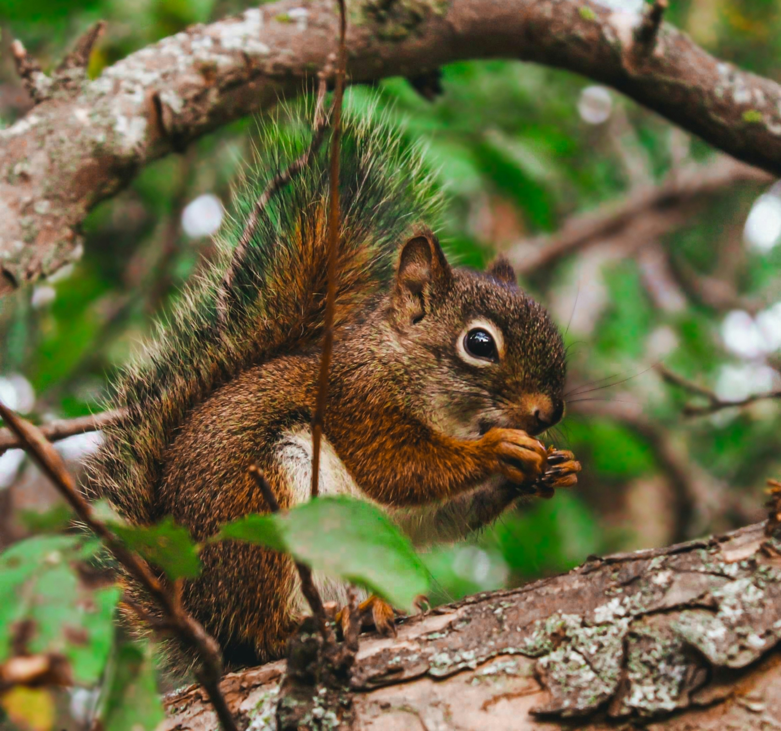 Photo by cagedbirdphotog