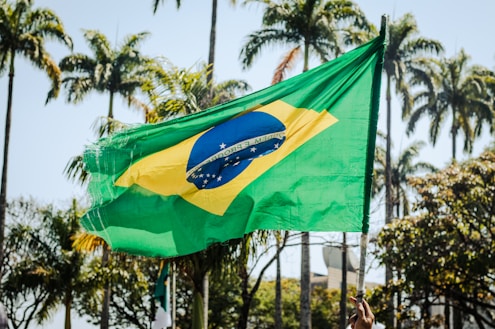 a flag flying in the wind with palm trees in the background