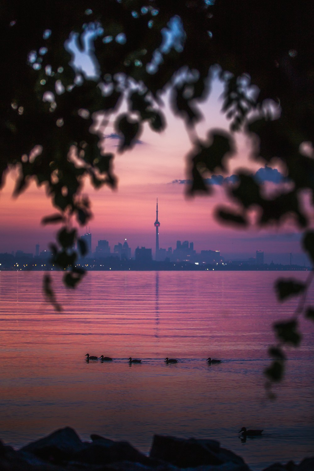 a view of a city from across the water