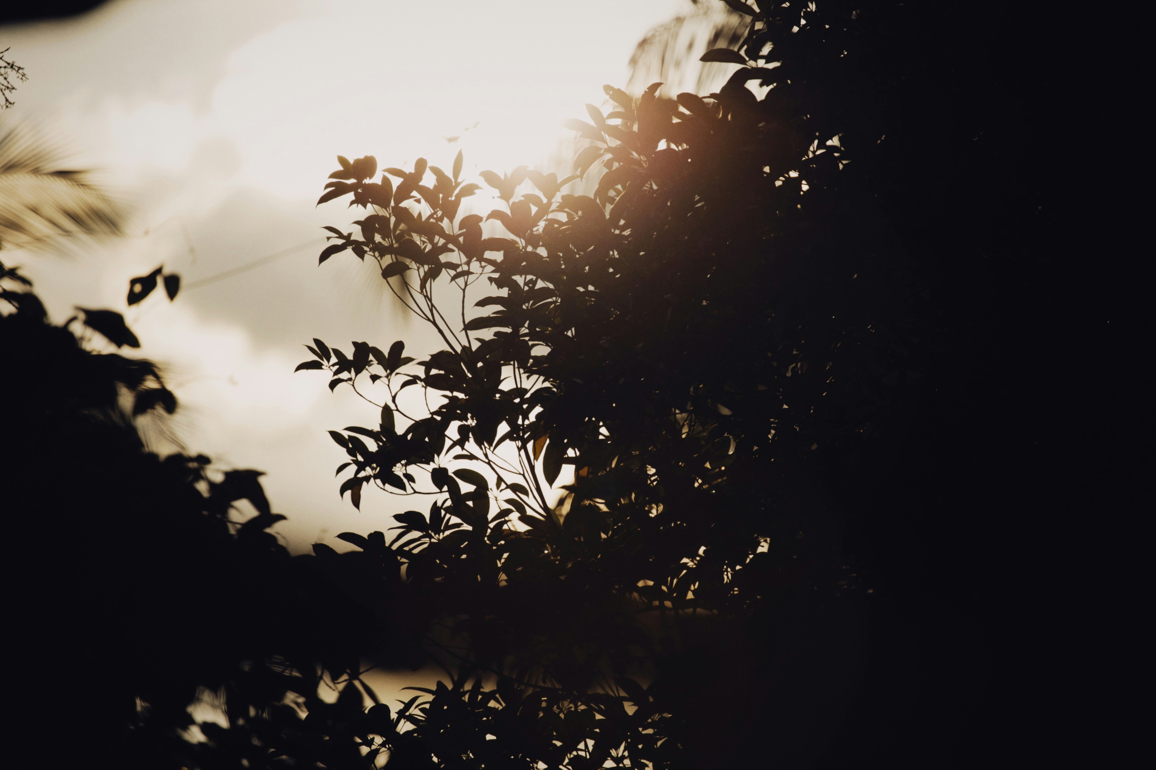 Photo by alexeydemidov