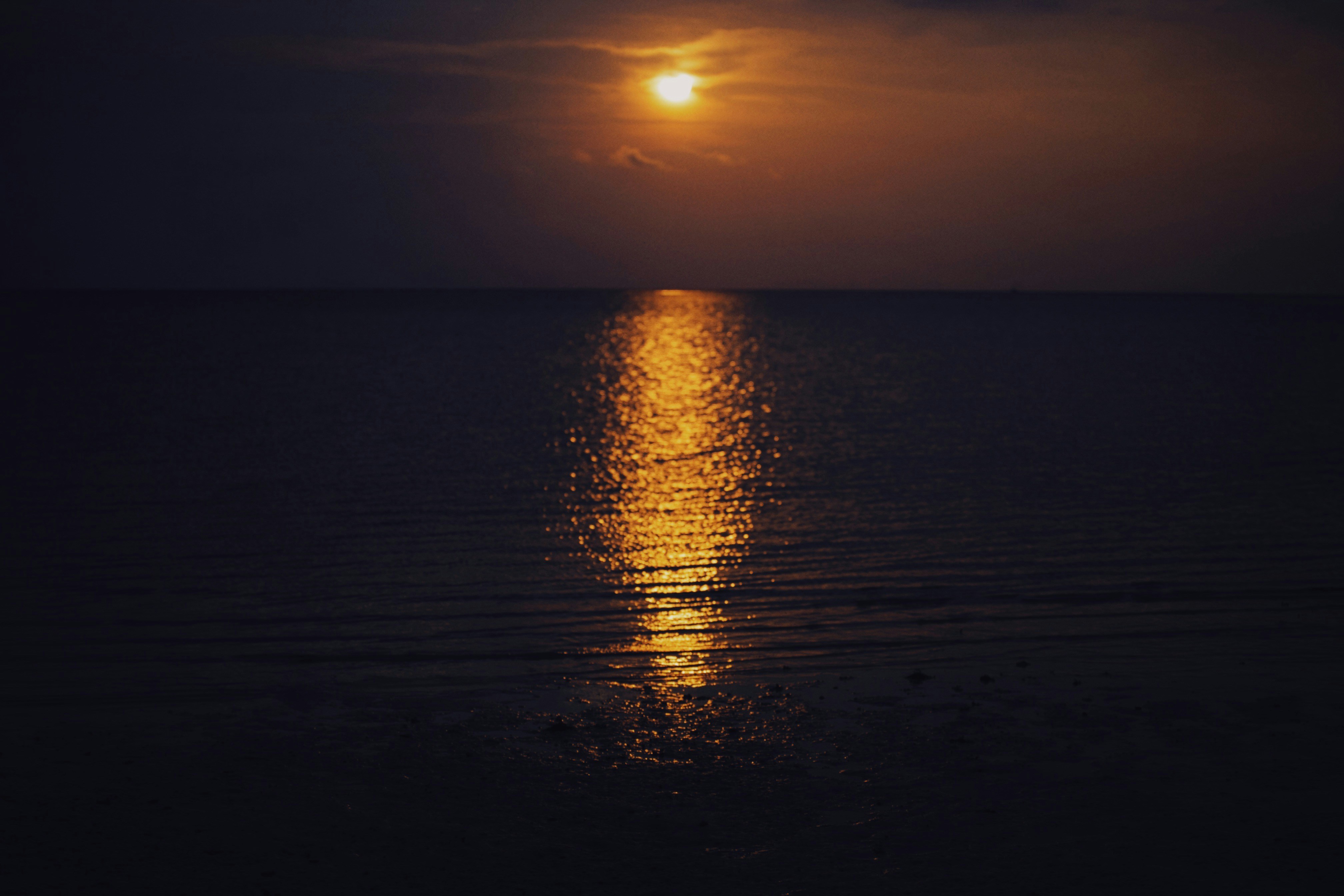 Photo by alexeydemidov