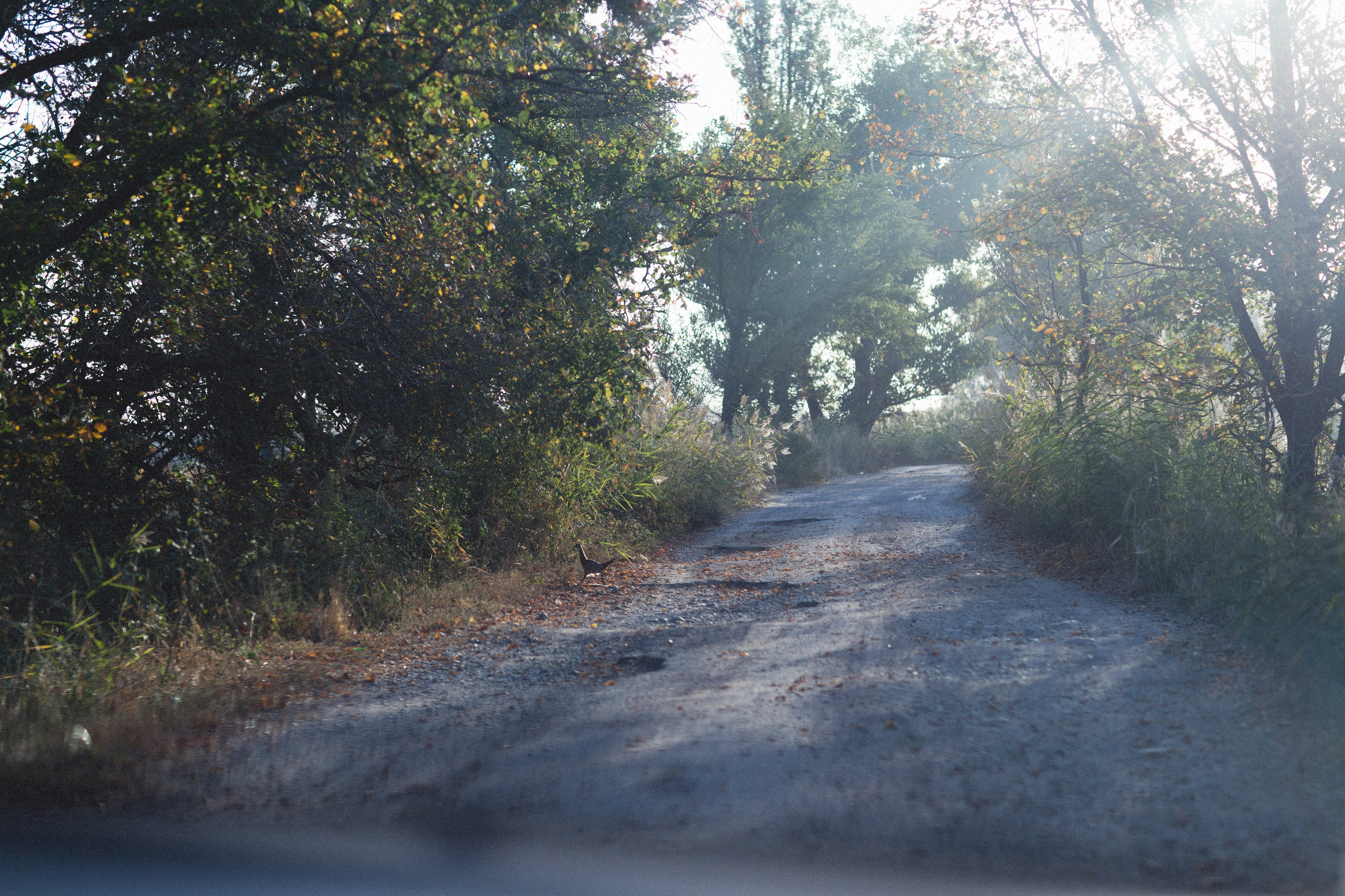 Photo by alexeydemidov