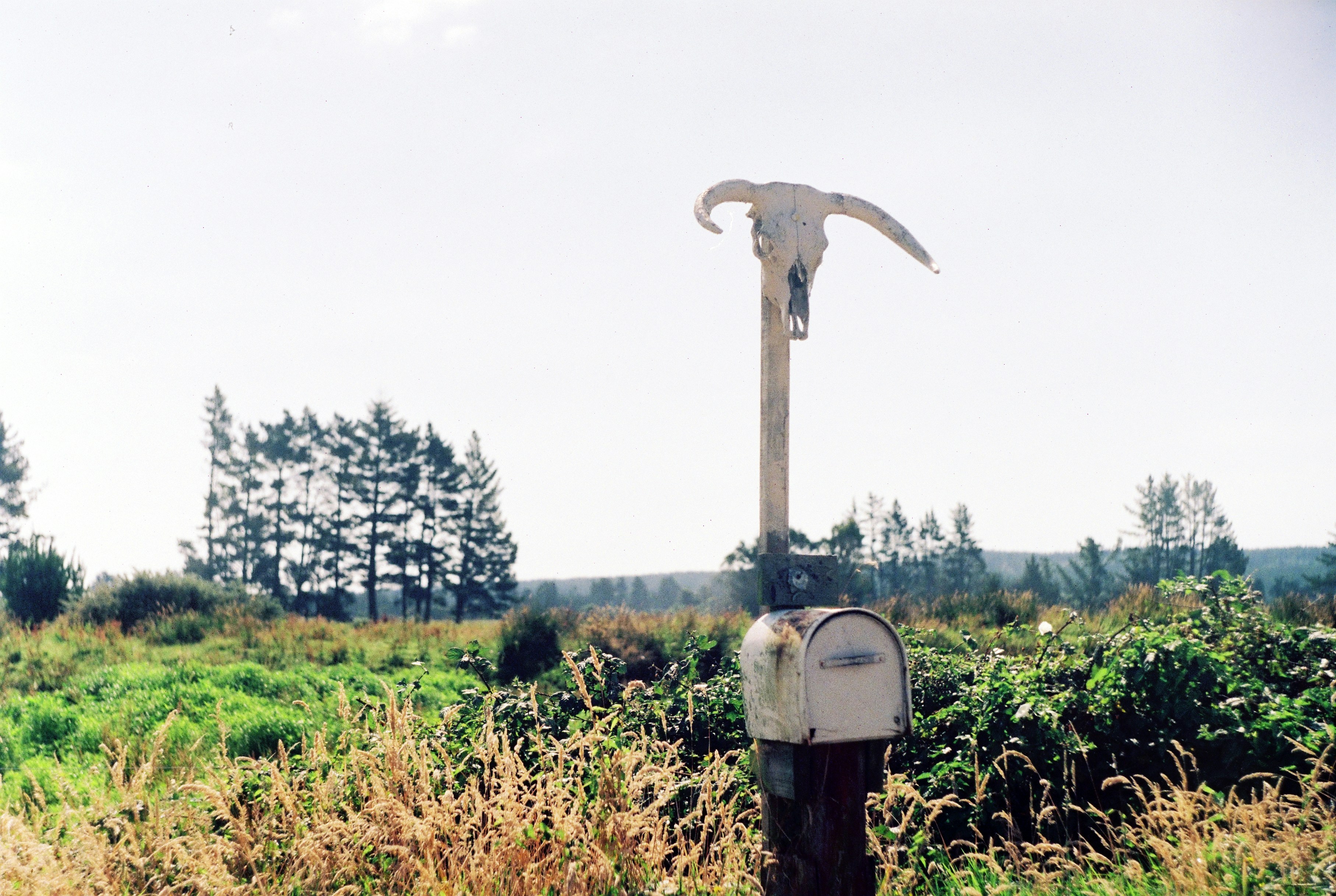 a mailbox in the middle of a grassy field