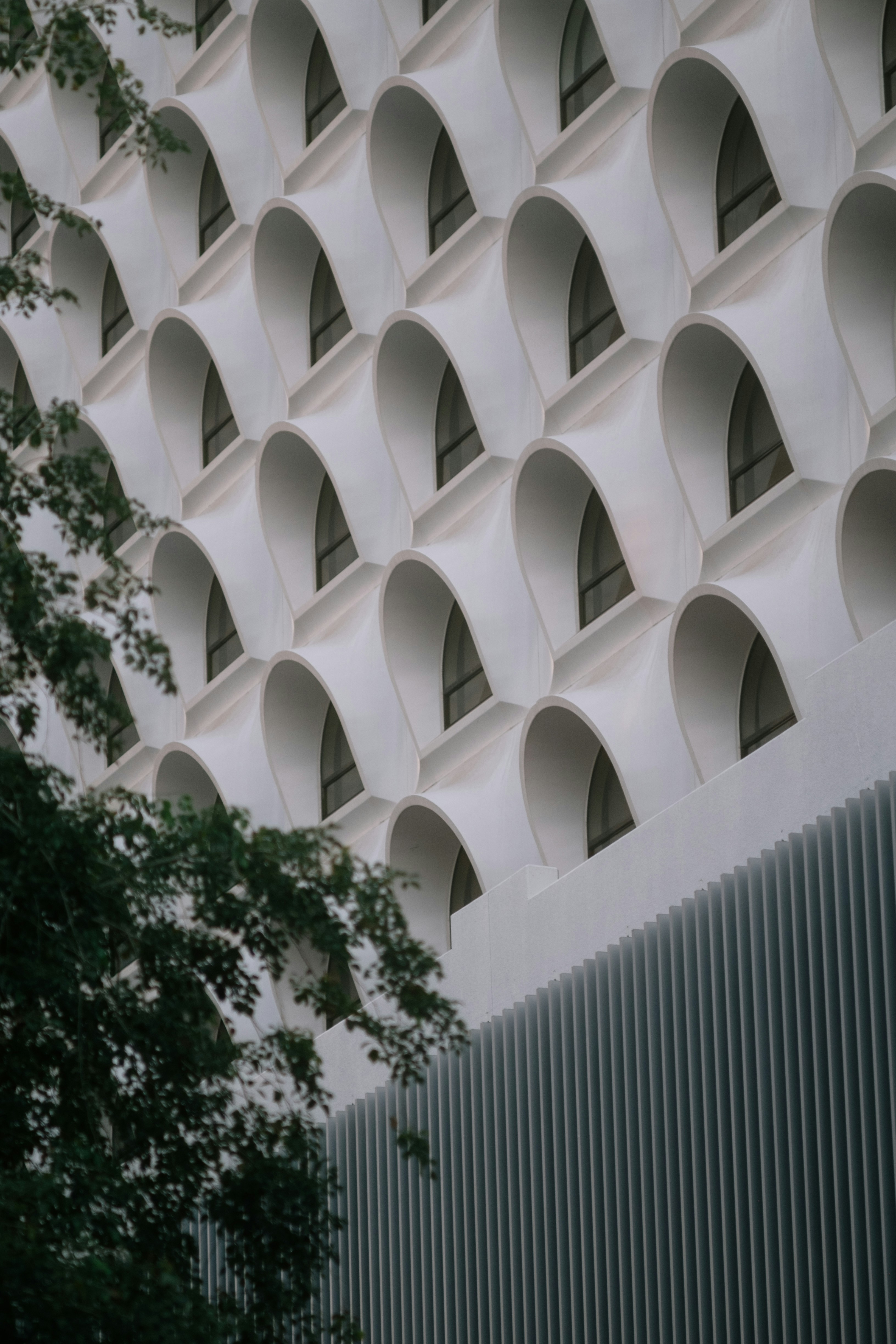 a white building with arched windows next to a tree