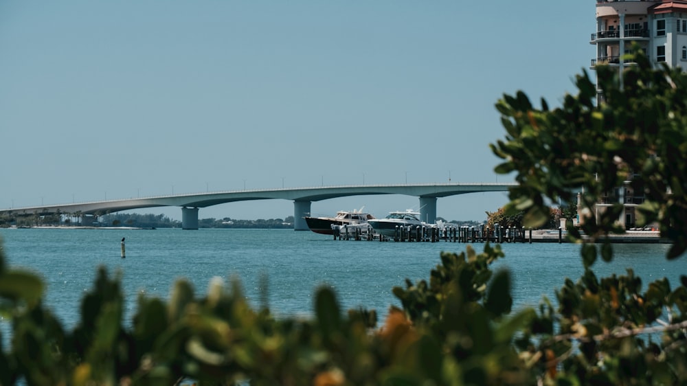 a bridge over a body of water with a building in the background