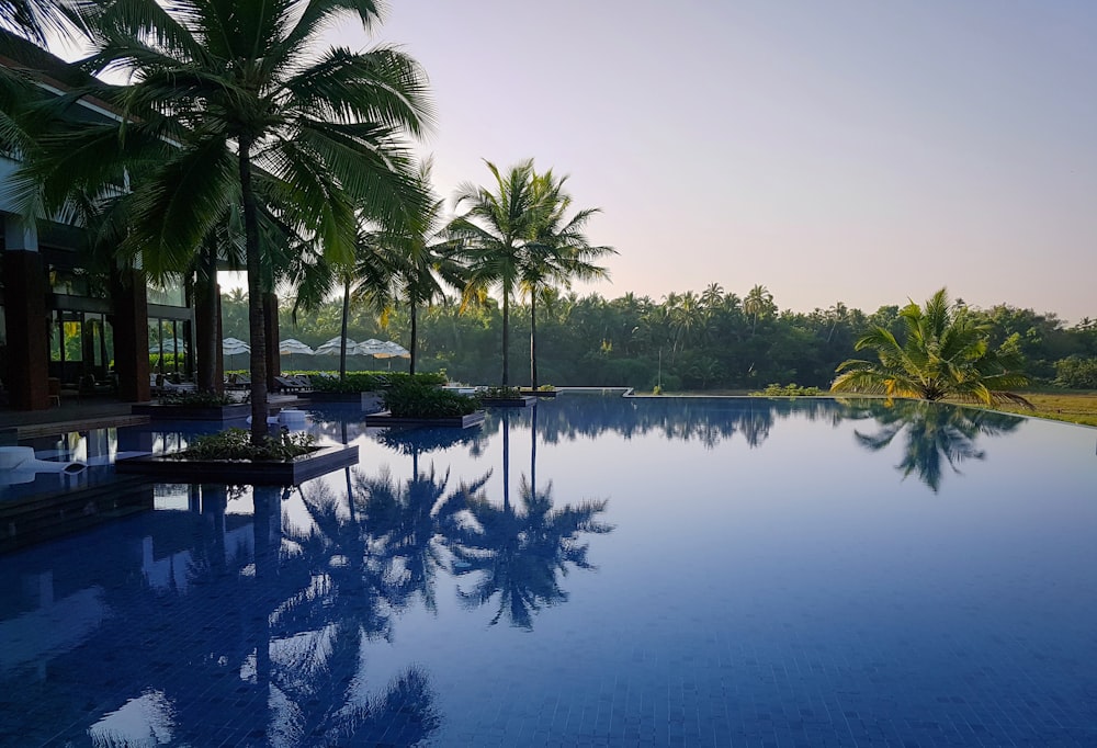 a large swimming pool surrounded by palm trees