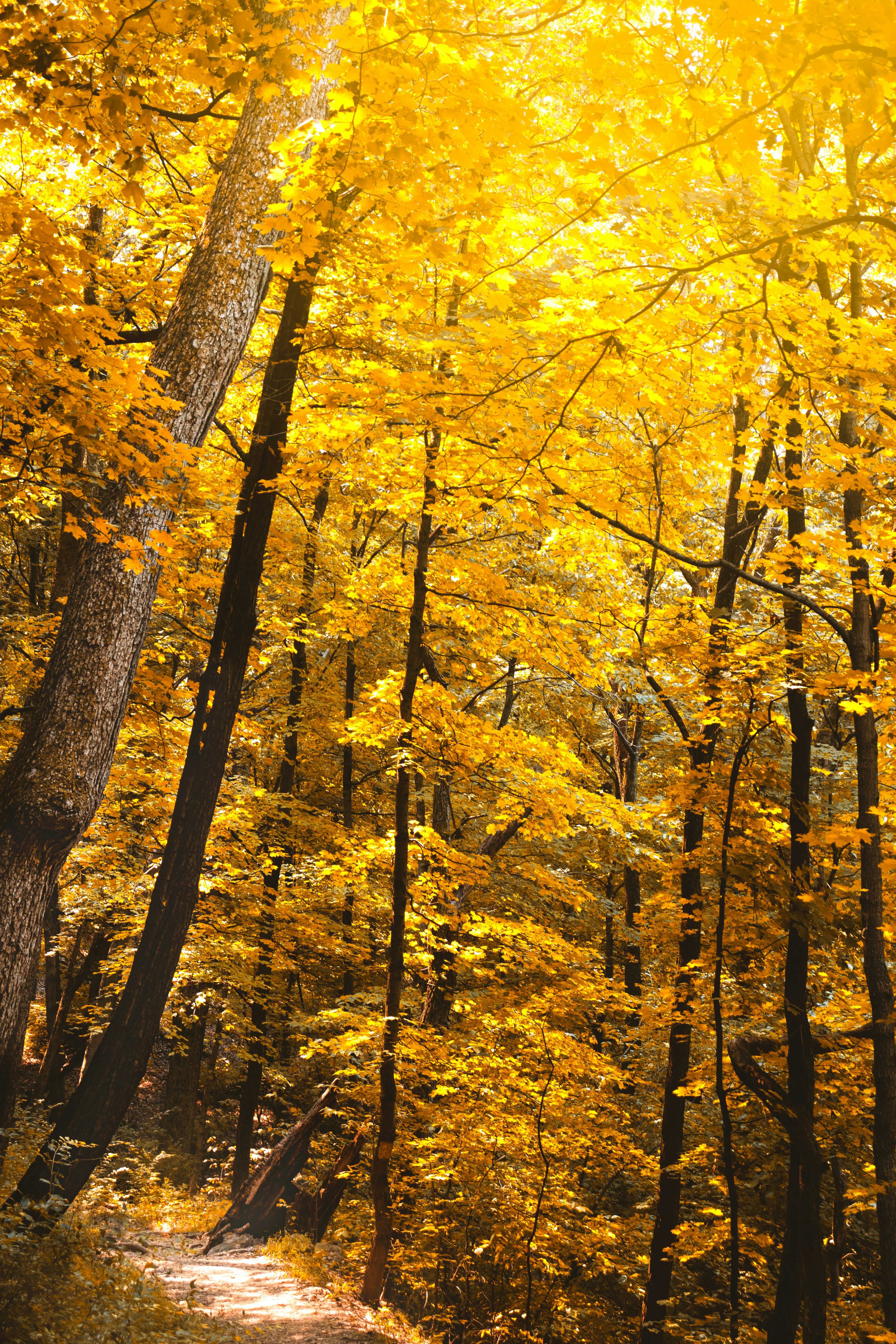 Photo by dancinghues