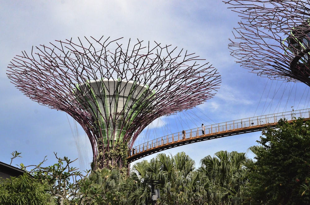 a very tall tree with a bridge in the background