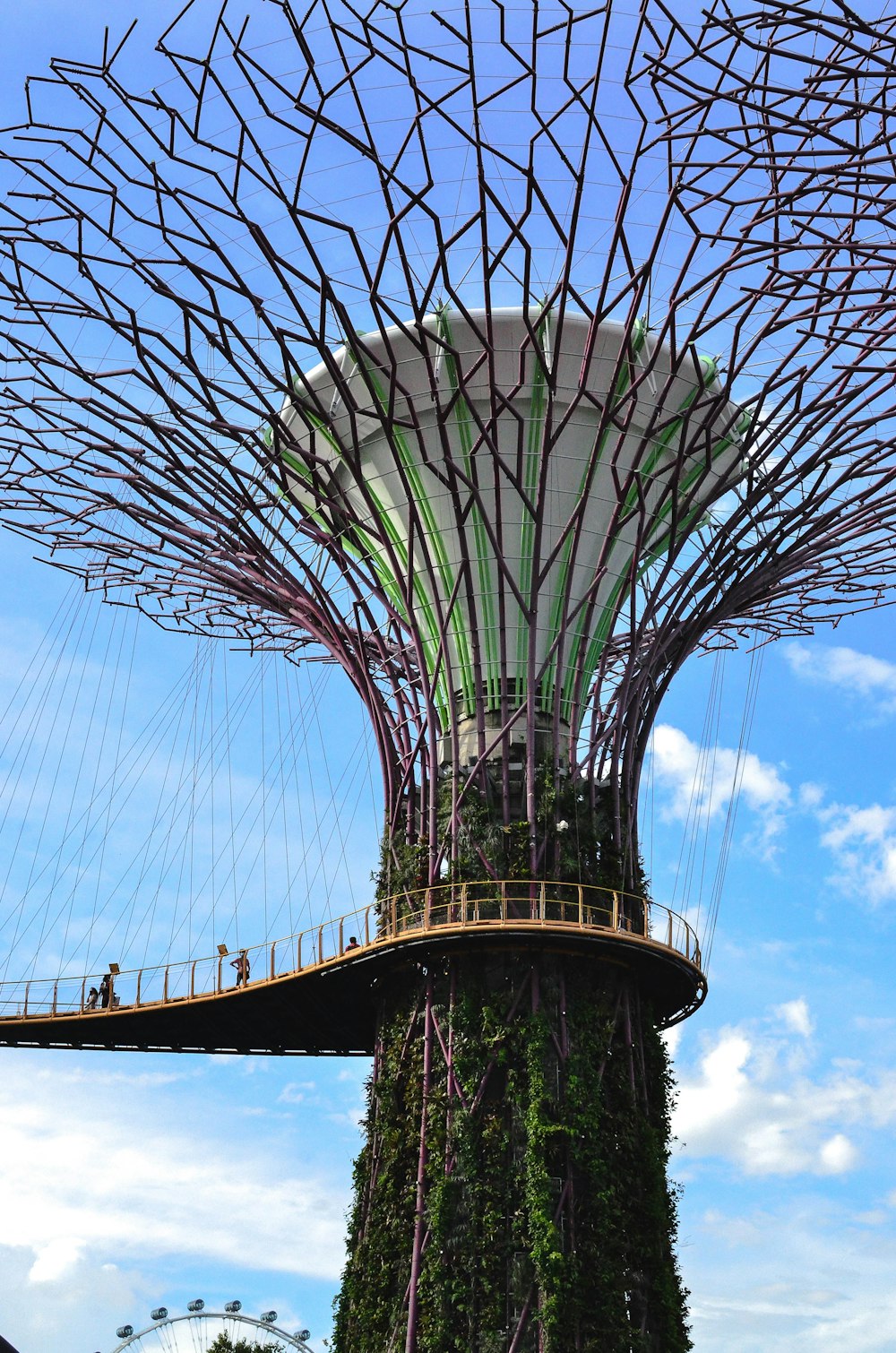 a large tree with a bridge going across it