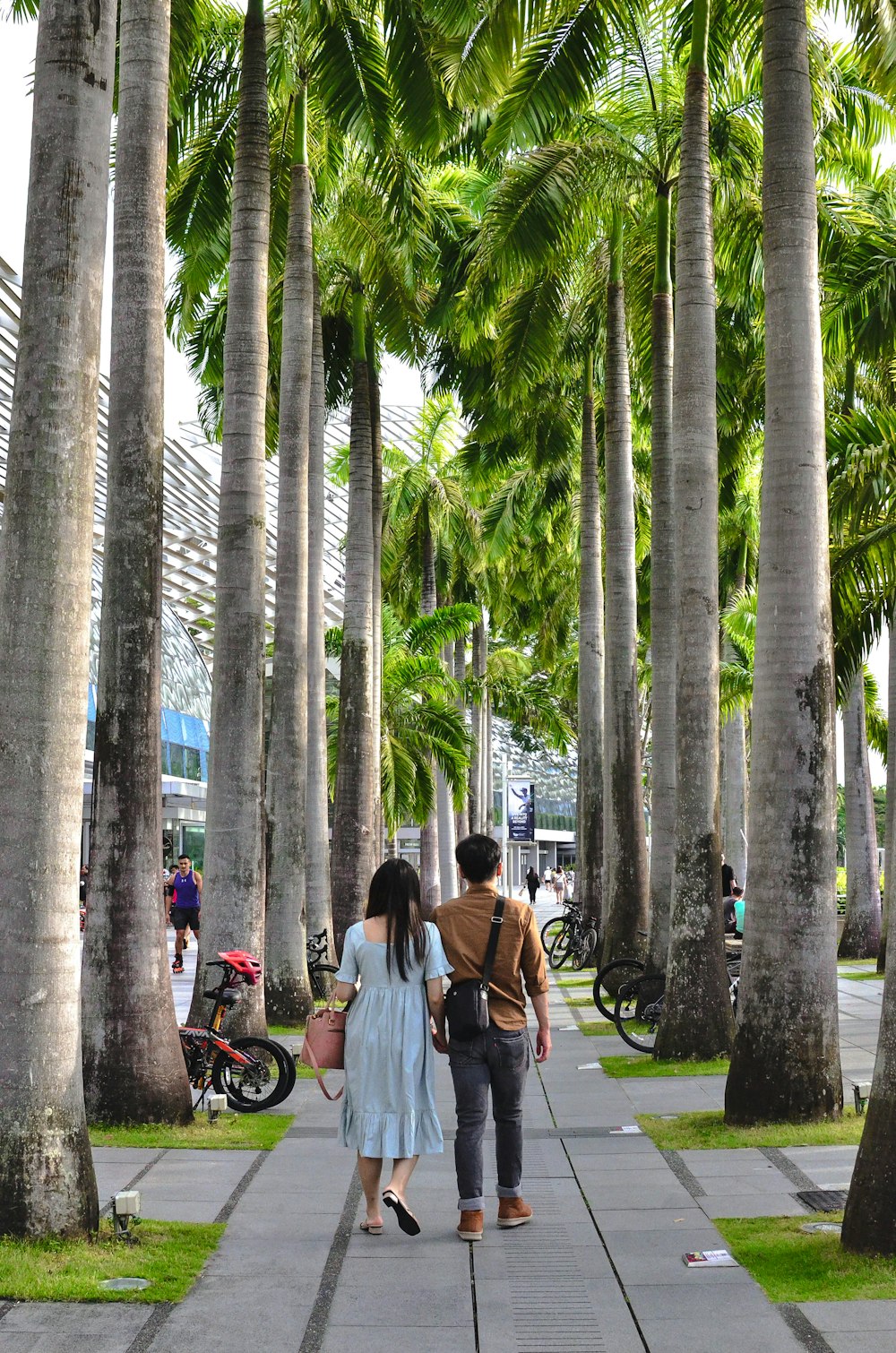 a man and a woman walking down a sidewalk between palm trees