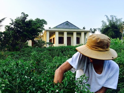 A person wearing a wide-brimmed hat and a white shirt is tending to crops in a lush green field. In the background, there is a pale-yellow building with multiple pillars and wooden doors, surrounded by dense greenery and trees. The sky is clear, suggesting a sunny day.