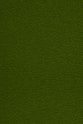 a close up of a green surface with a small patch of grass
