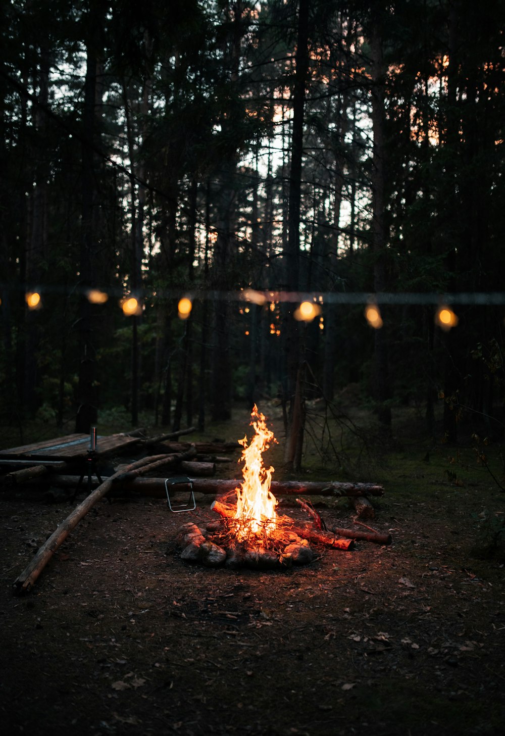 a campfire is lit in the middle of a forest