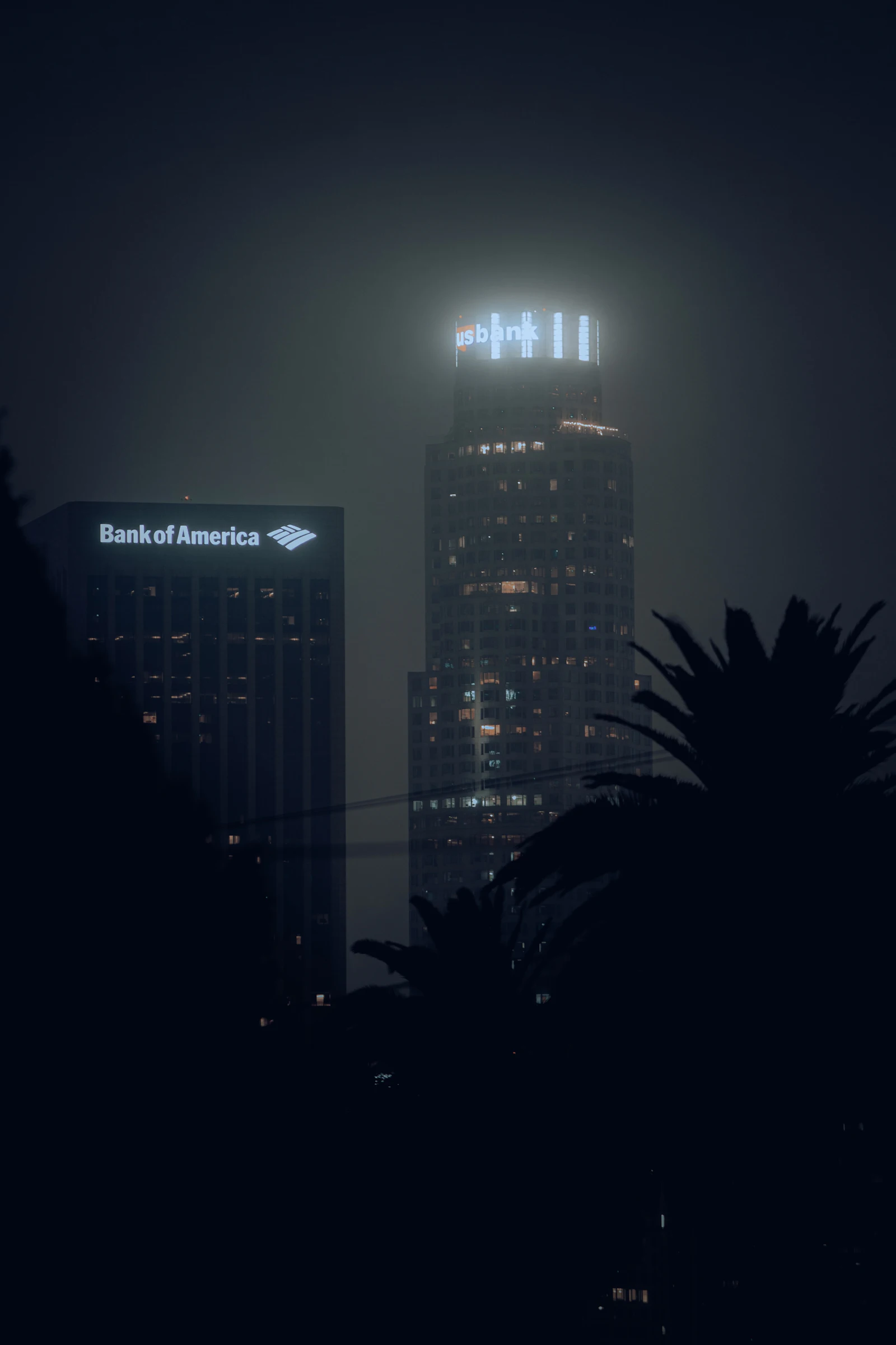 A Bank of America office tower lit up at night