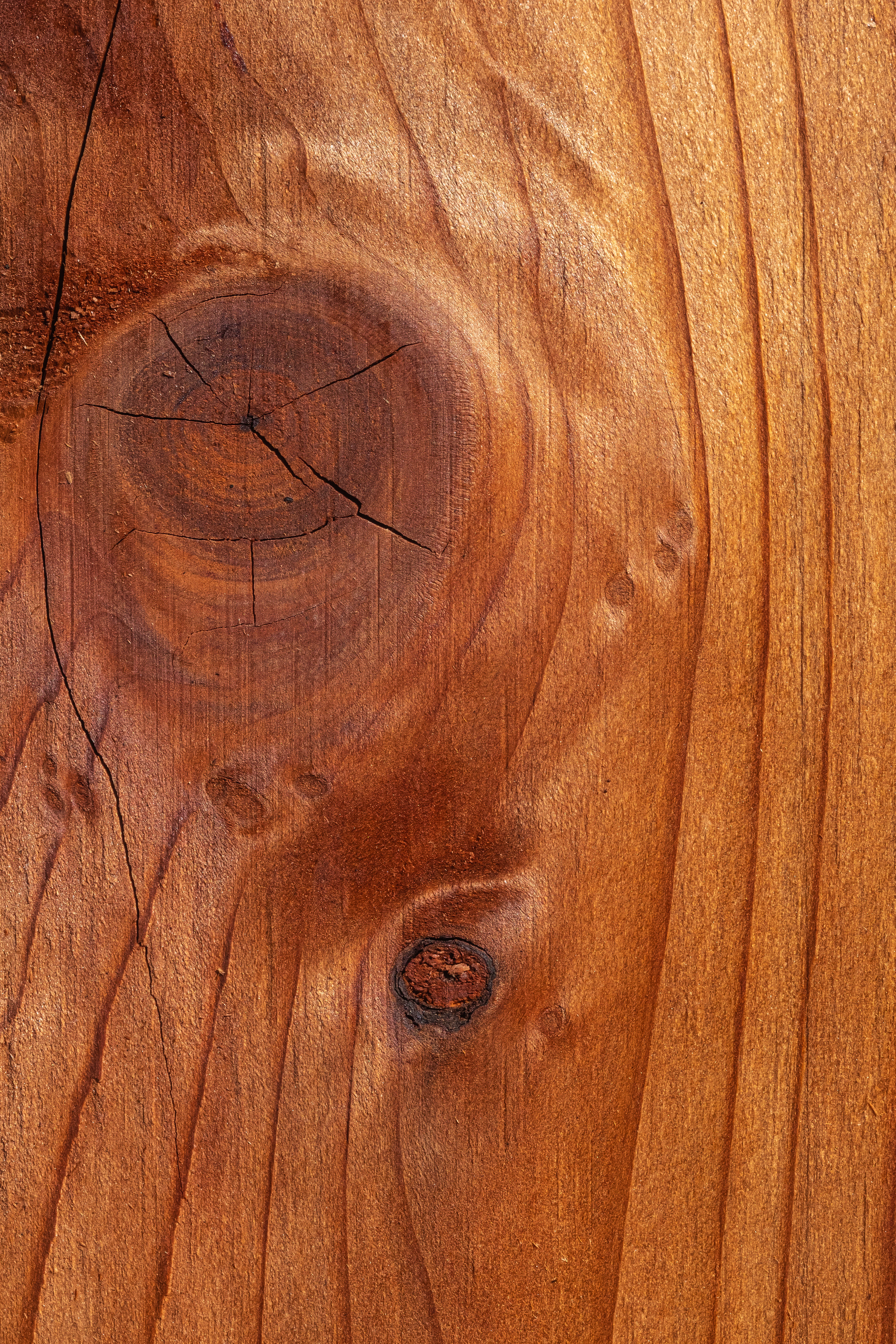 Close-up of wood grain
