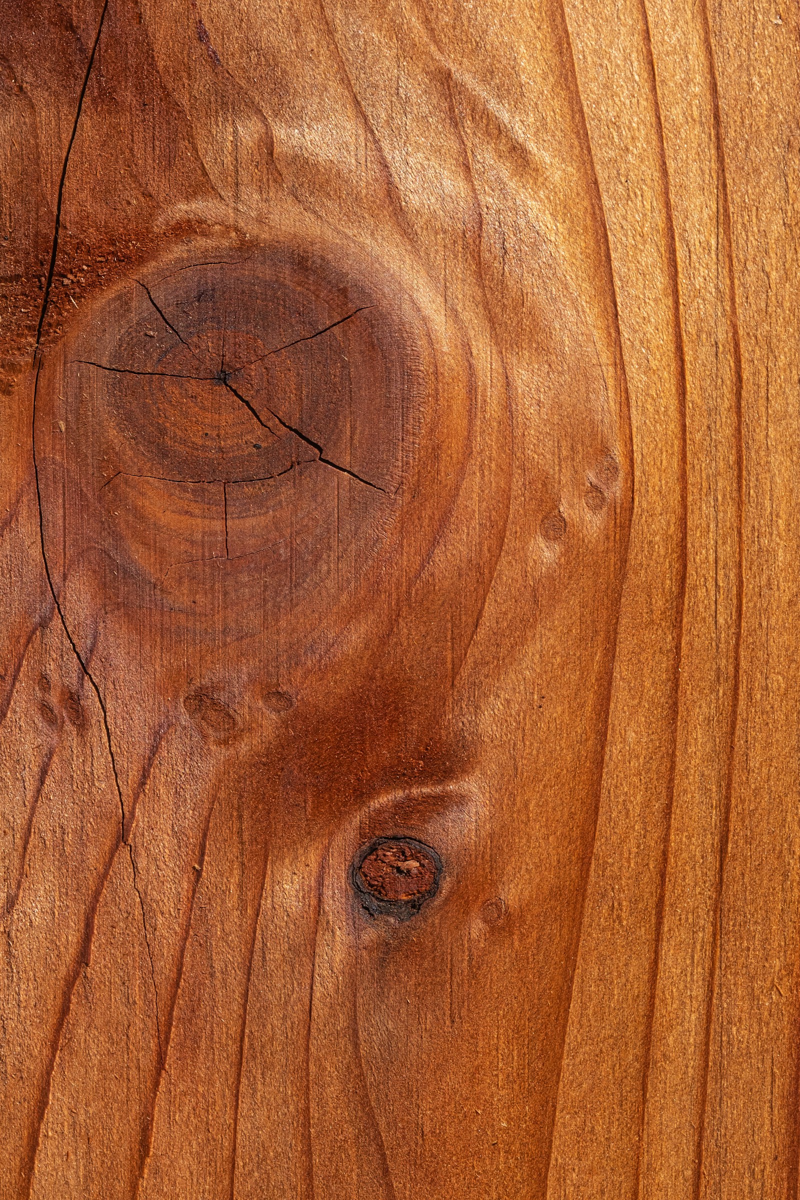 Wood Background