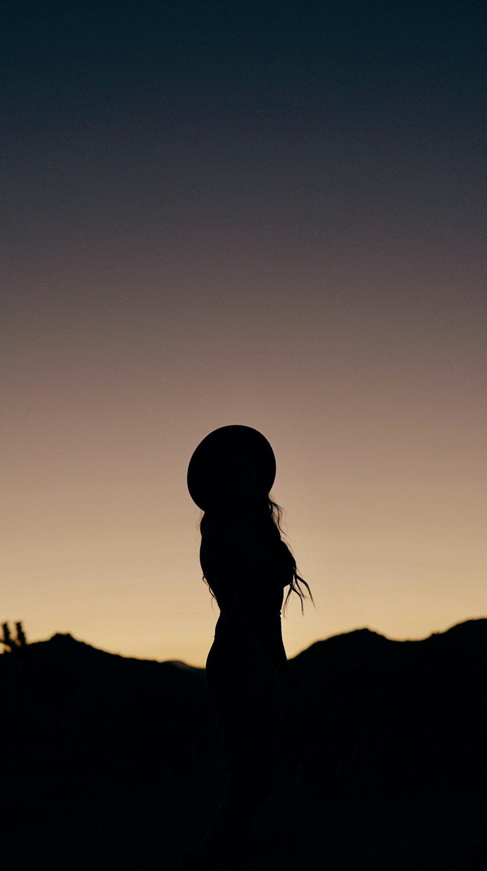 a silhouette of a person wearing a hat