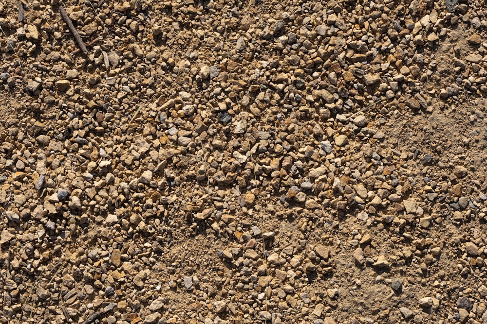 a close up of a dirt surface with rocks and gravel