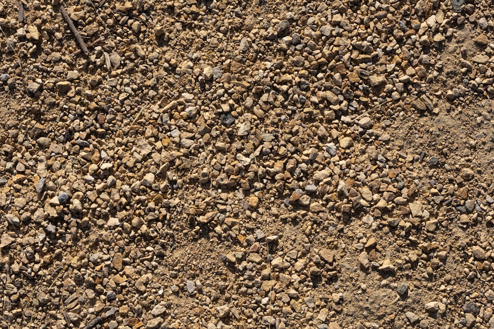 50,000+ Dirt Texture Pictures  Download Free Images on Unsplash