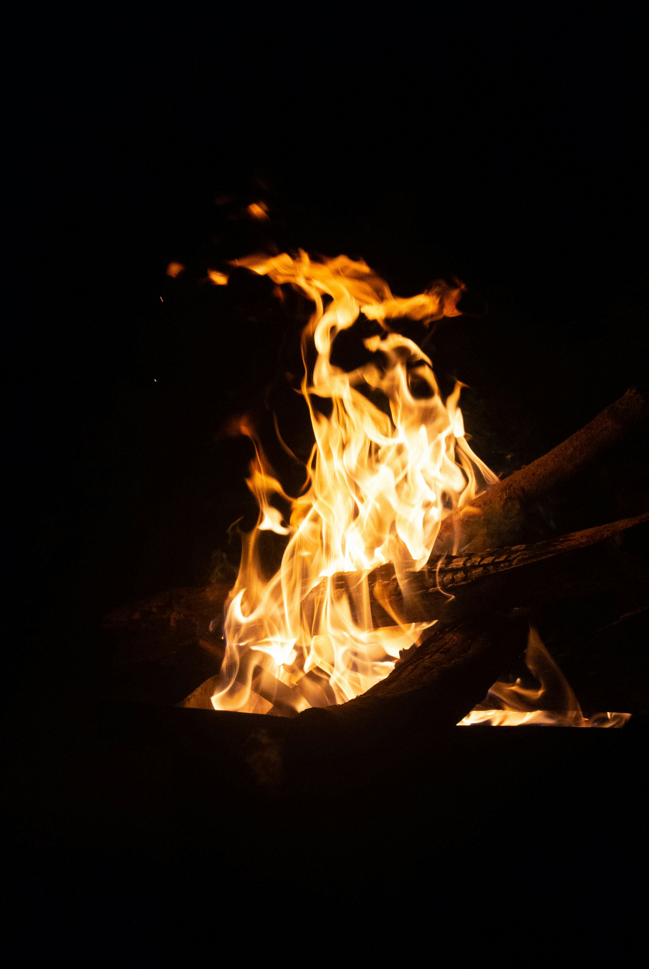 campfire forest wallpaper, wallpaper, Best Books to Read by the Campfire 3