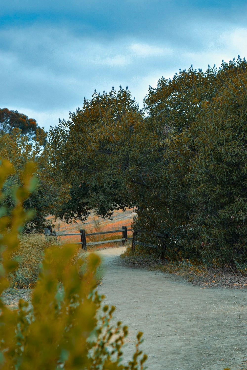 a couple of benches sitting on top of a dirt road