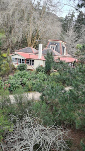 Cozy house with a red roof surrounded by a green garden and trees