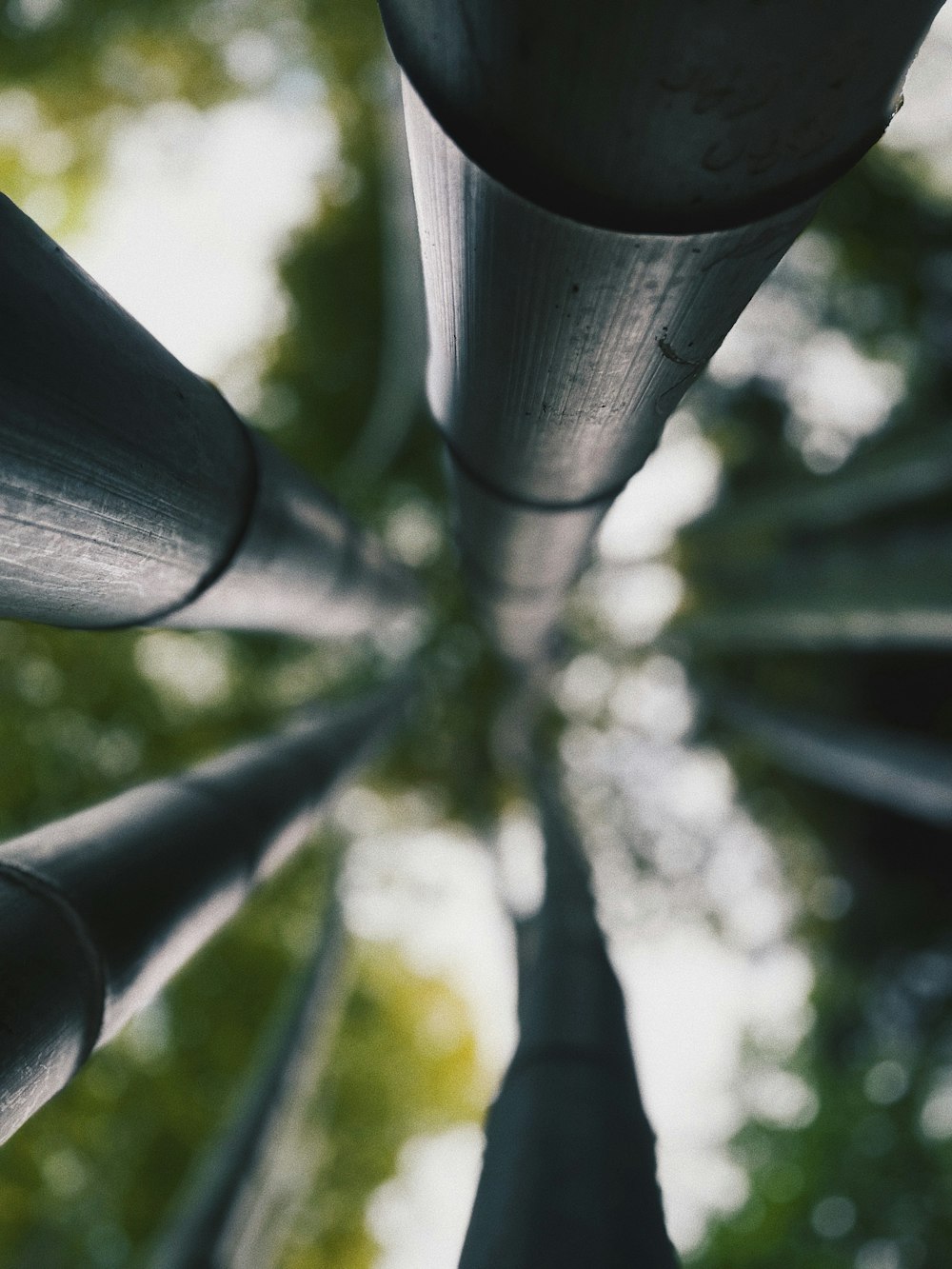 a close up of a metal pole with trees in the background