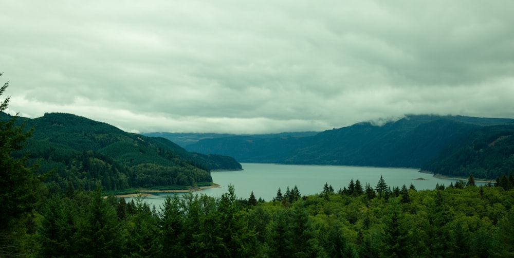 una vista panoramica di un lago circondato da alberi