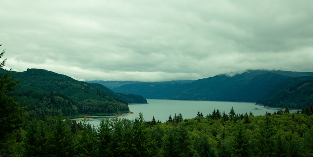 a scenic view of a lake surrounded by trees