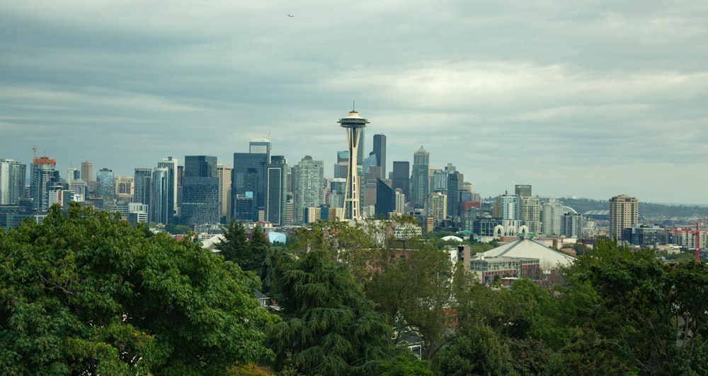 a view of the seattle skyline from the top of a hill