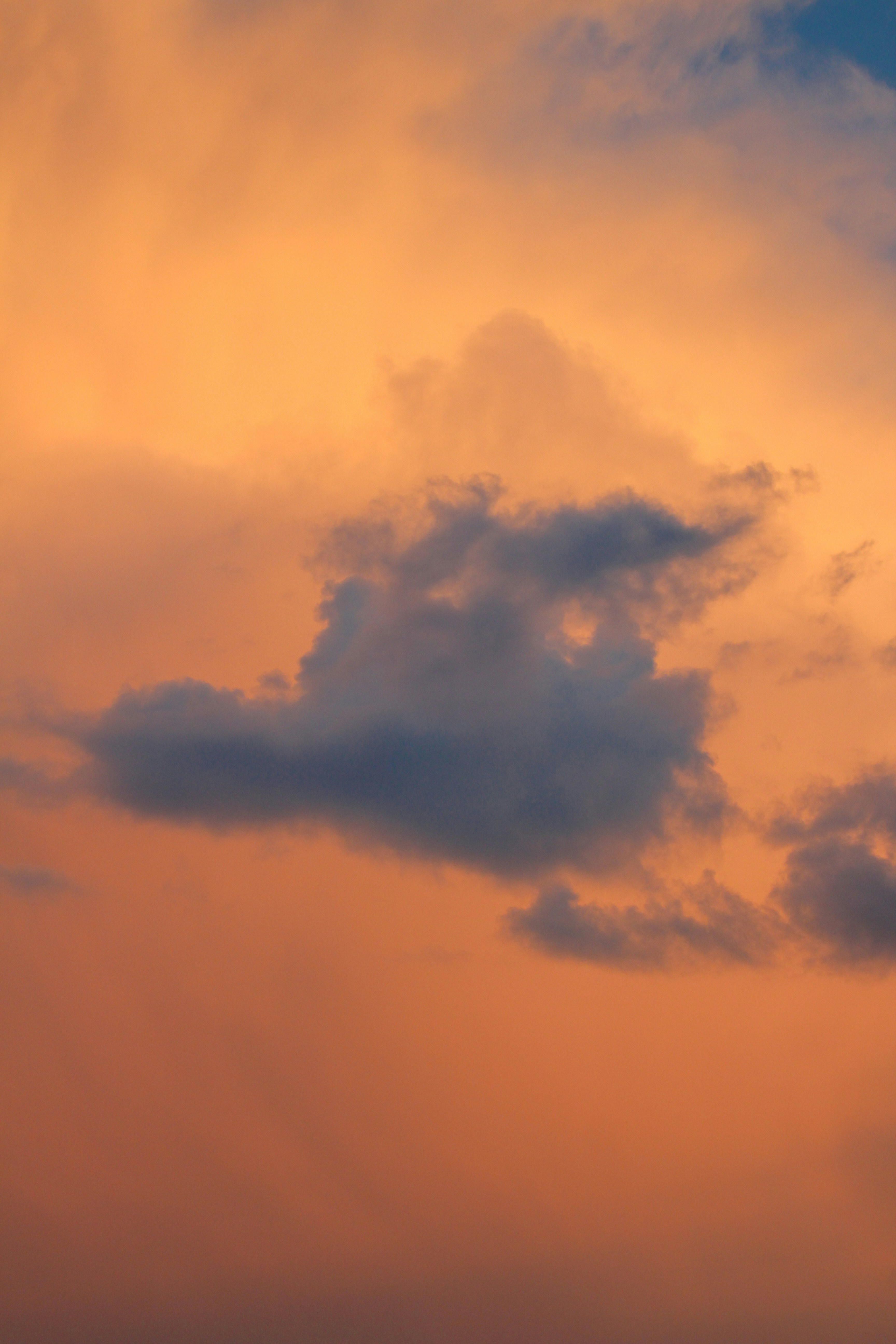 Photo by imtinapastore