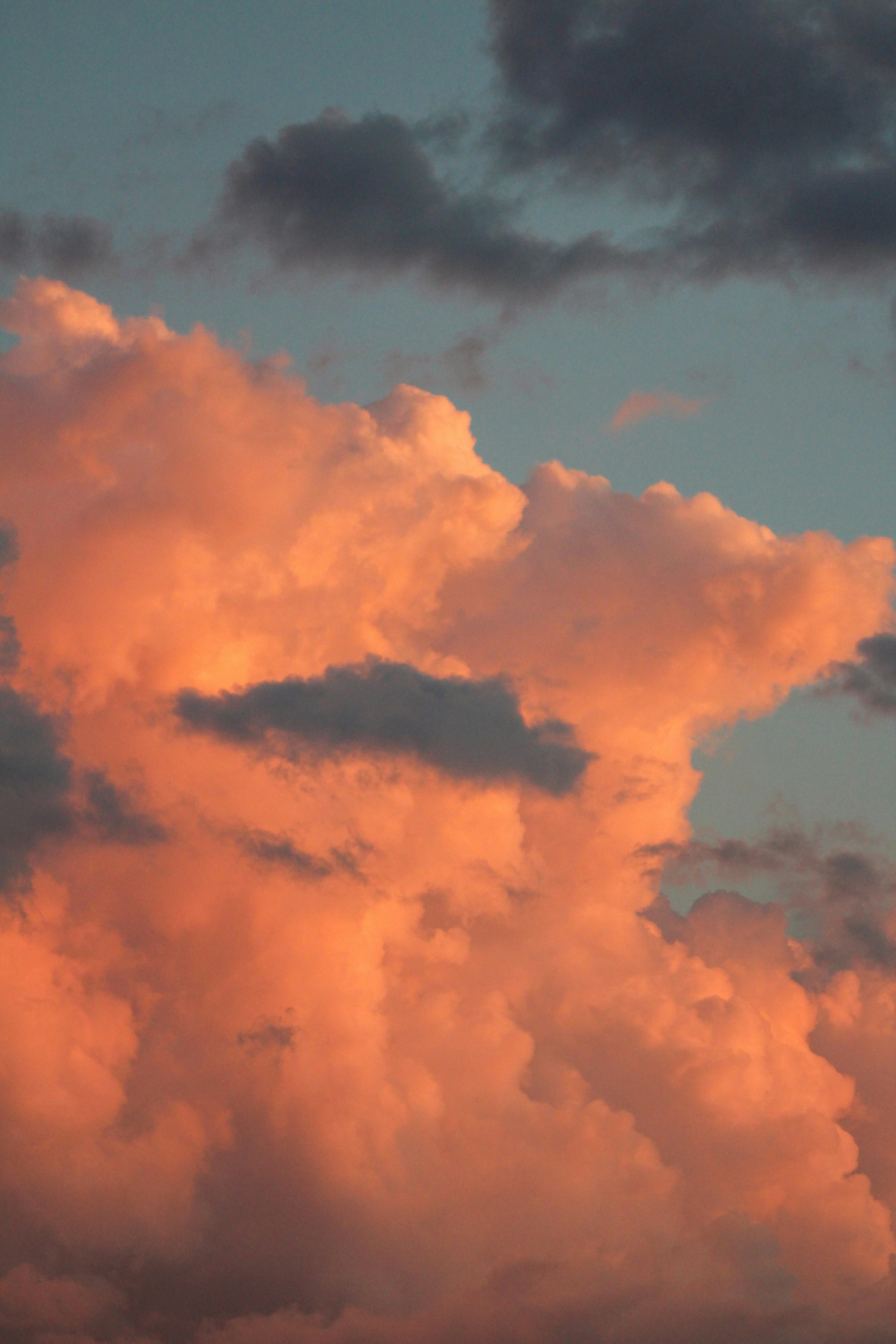 Photo by imtinapastore