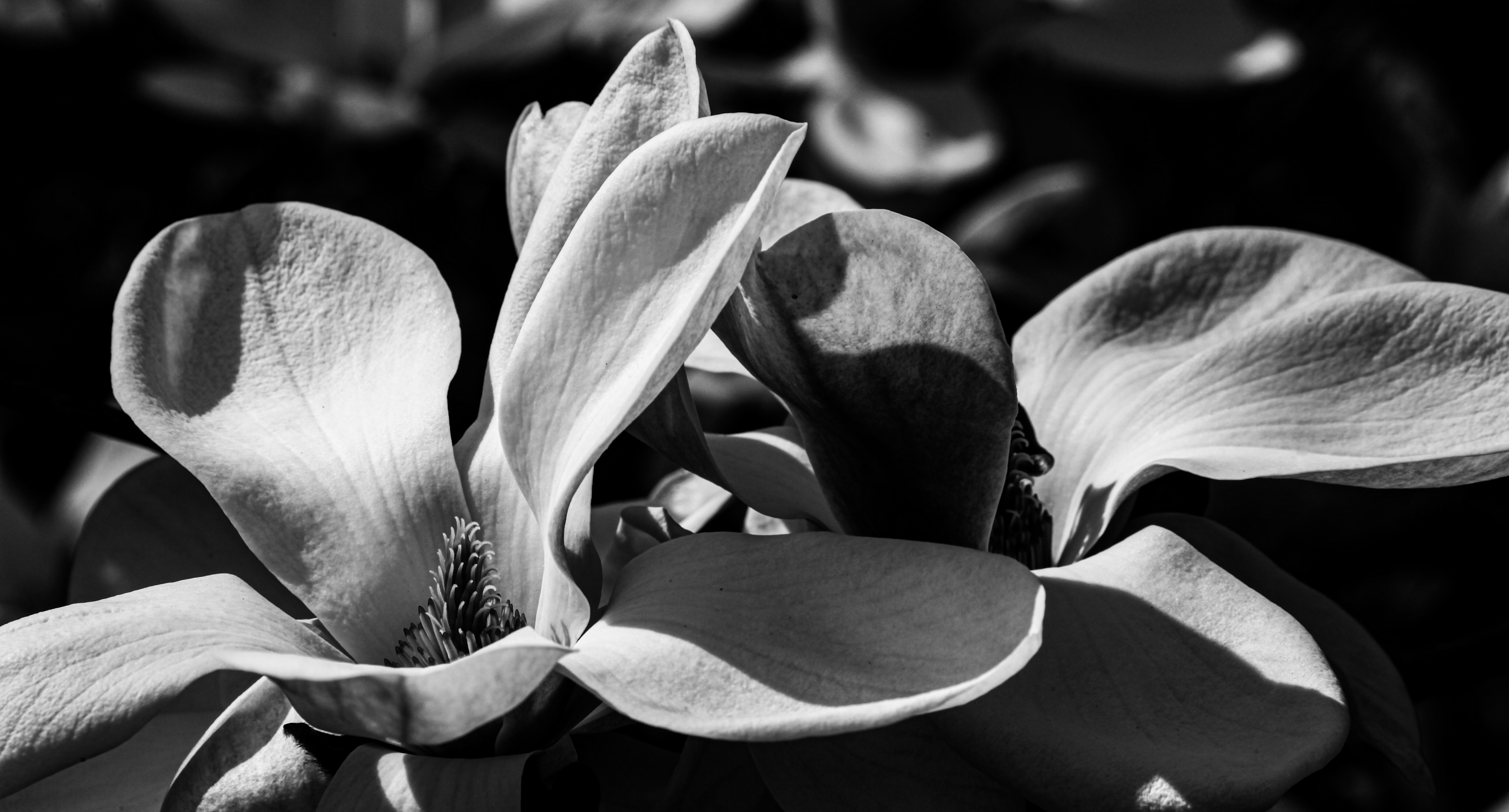 Photo by wilhelmgunkel