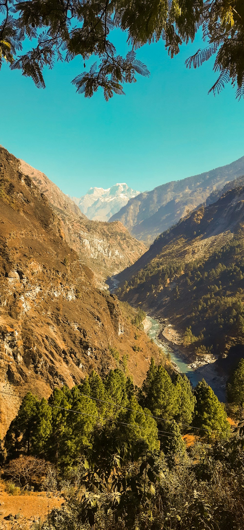 a scenic view of a valley with mountains in the background