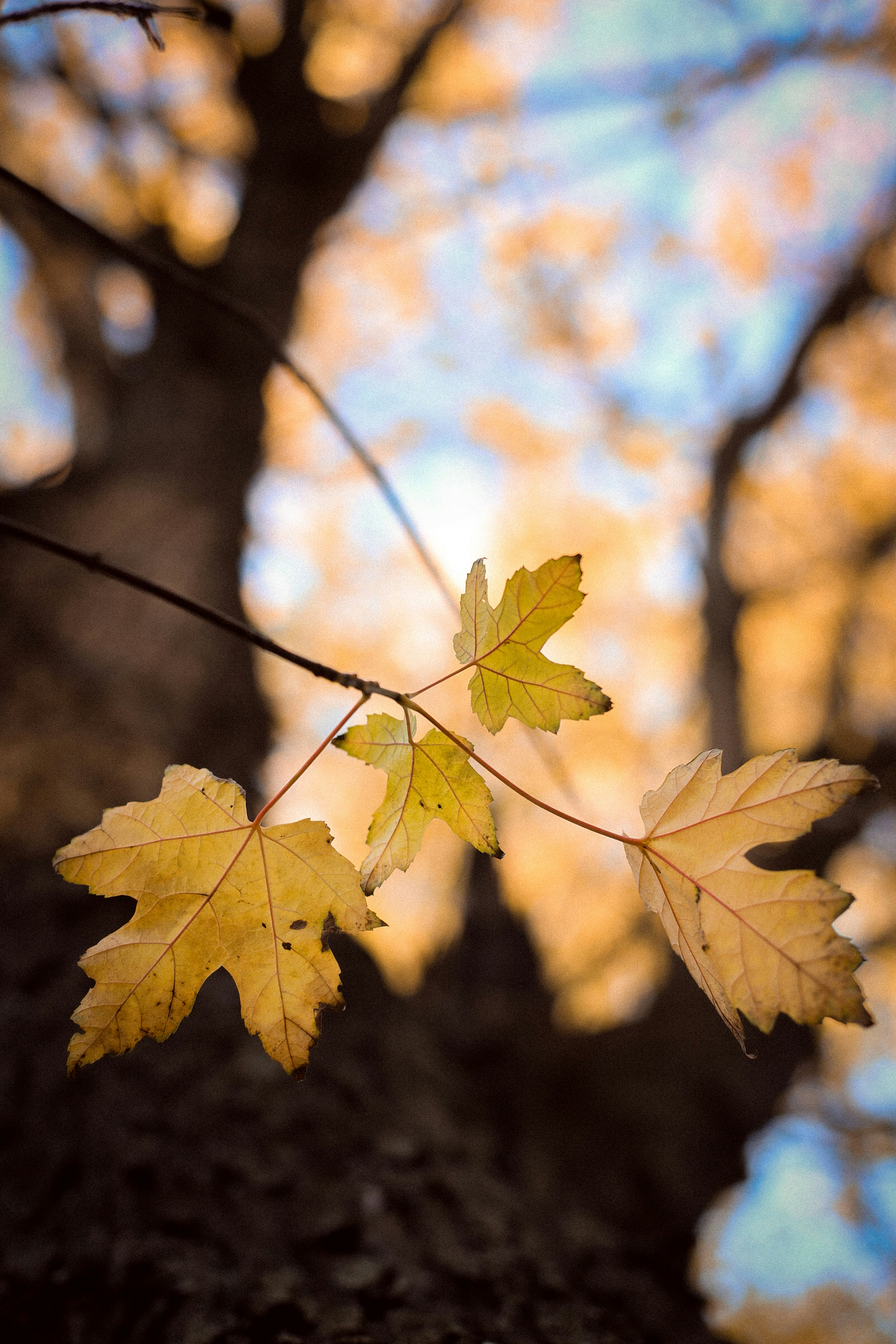 Photo by zagranyasha