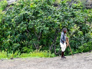 A person dressed in traditional attire, standing on a dirt path with a walking stick. Surrounding them is lush, green vegetation and trees, creating a natural, forested landscape.