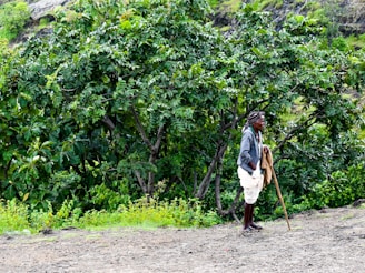 A person dressed in traditional attire, standing on a dirt path with a walking stick. Surrounding them is lush, green vegetation and trees, creating a natural, forested landscape.