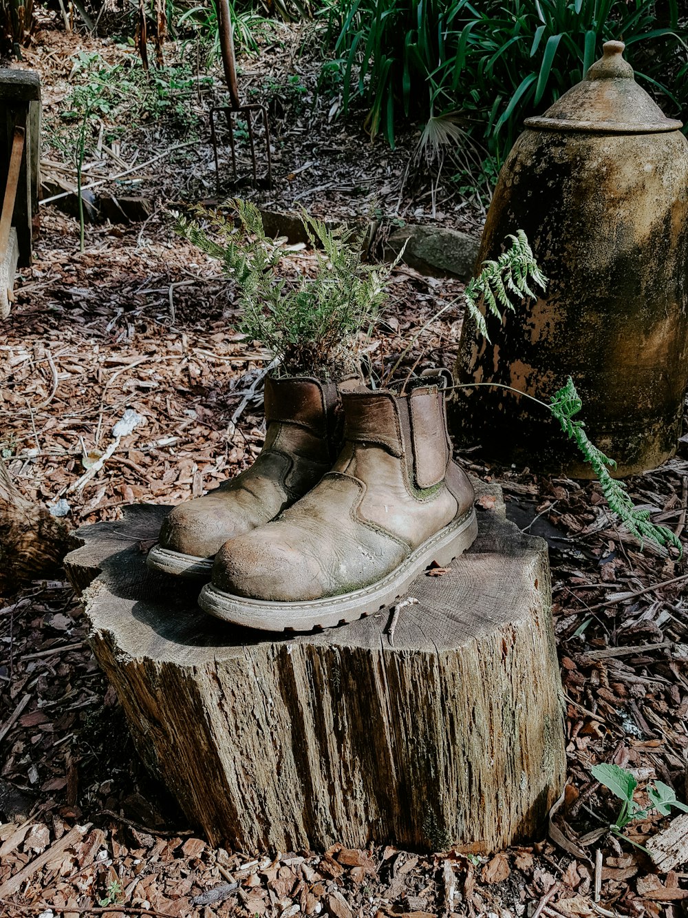 a pair of shoes sitting on top of a tree stump